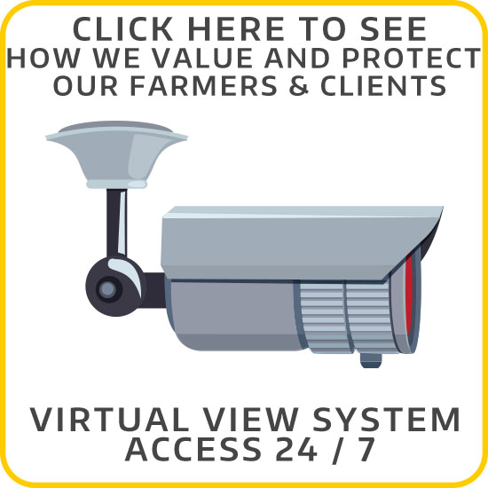 VIDEO-ACCESS-SYSTEM